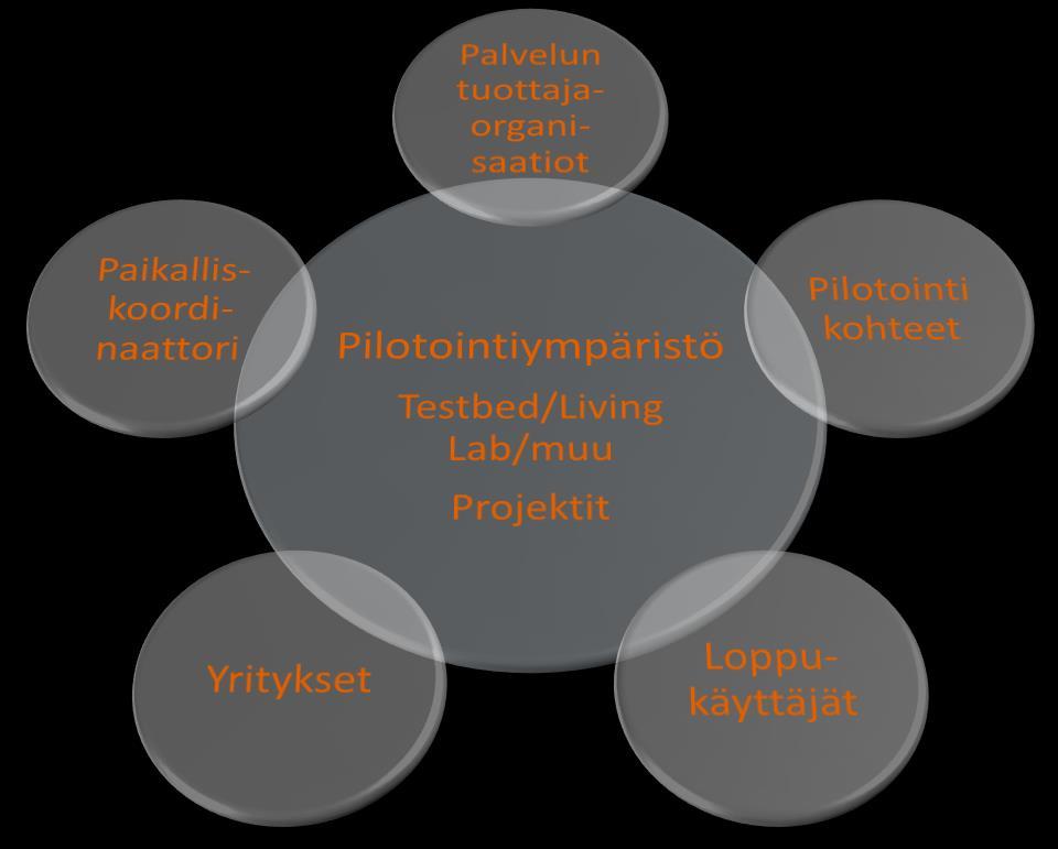 Esiselvityksen sisältö Pilotointiympäristön ekosysteemi Pilotointiympäristöjä ja toimintamalleja Toimijoiden näkökulma: