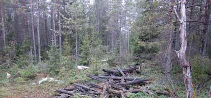 Kuvaus: Ehdotus