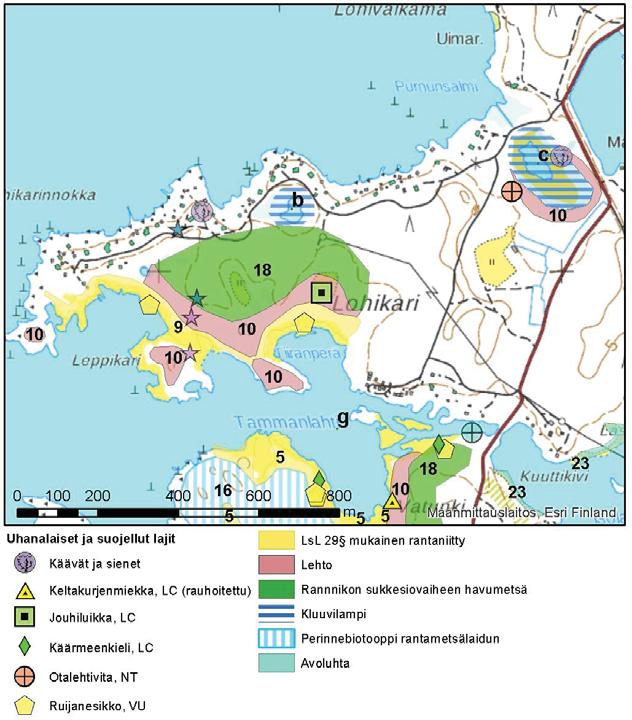 42 9. Lohikarinniitty Lohikarin niityt ovat kapea-alaisia ja niitä uhkaa pajukoituminen, mutta niittyjen