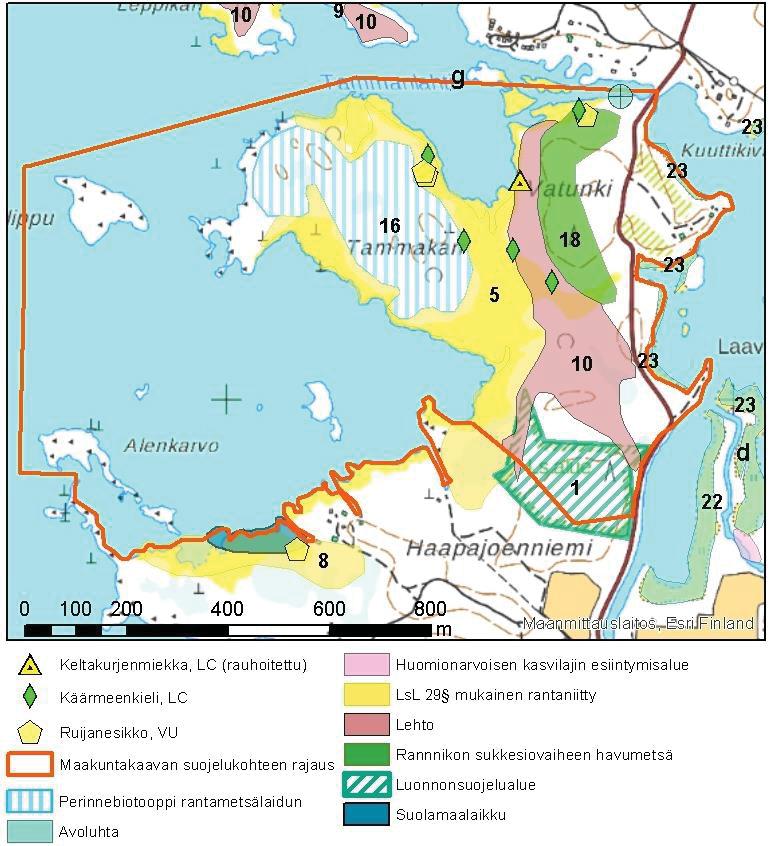 44 Kuva 7-5. Vatungin ja Tammakarin arvokkaat kohteet. 7.4 Paikallisesti arvokkaat kohteet 7.4.1 Luonnonsuojelulain nojalla rauhoitetut kohteet Alueella ei esiinny luonnonsuojelulain nojalla rauhoitettuja kohteita.