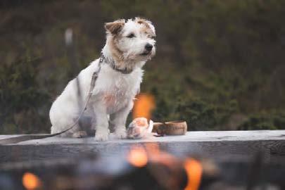 Liikuttava luonto -työkalu on julkaistu Metsähallituksen julkaisusivustolla julkaisut.metsa.fi.