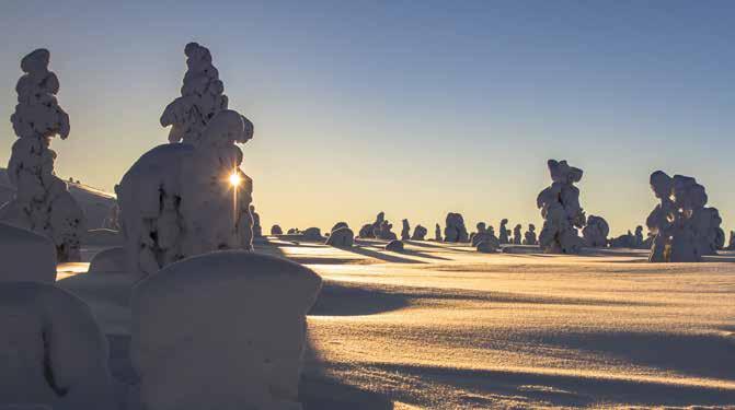 SUOMI SUOMI OPINTOAVUSTUS MAAHANMUUTTAJILLE / STUDY GRANT FOR IMMIGRANTS Maahanmuuttaja voi hakea opintoavustusta kurssimaksun maksamiseen Hiiden Opiston toimistoista.