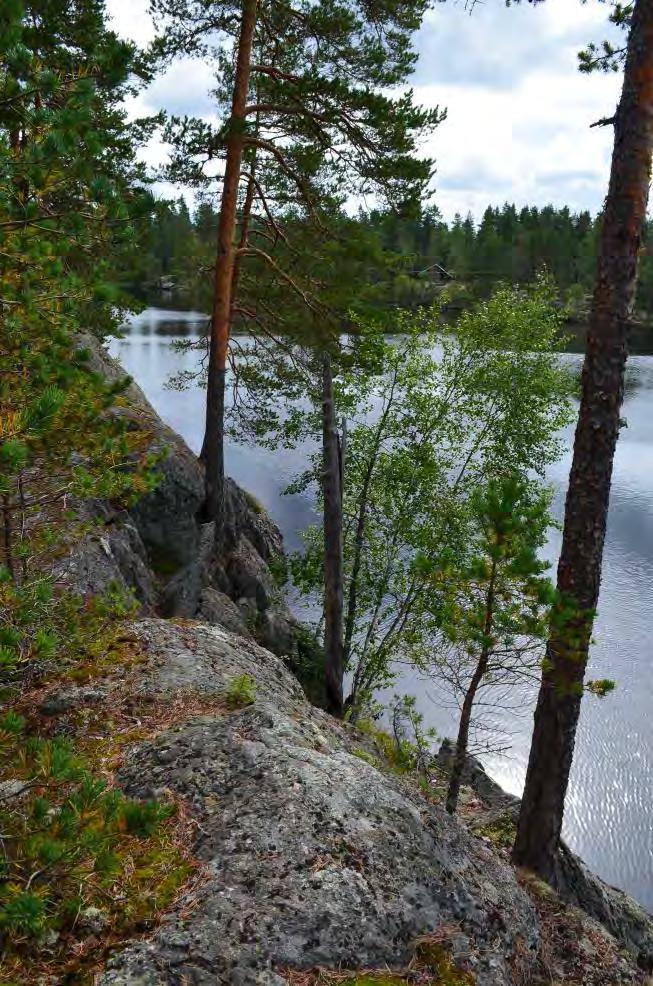 8 Pikku-Made ranta-asemakaava 3:n muutoksen