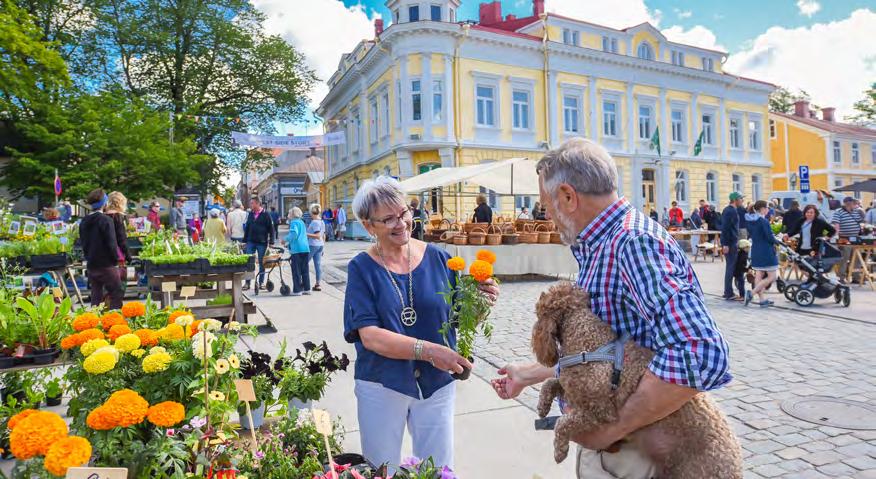 kuvakulmat, kaunis