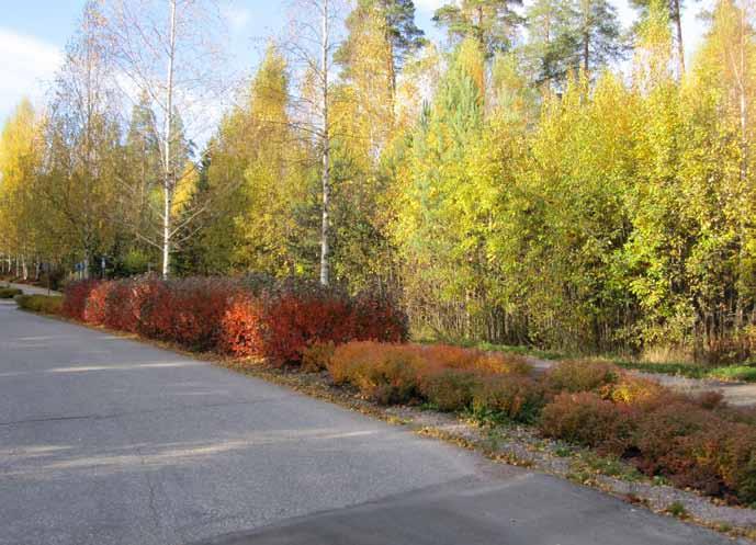 Sipoo, Söderkulla, Karjuhaantien YL-korttelin asemakaavan muutos Kaavamuutosalue Söderkulla 1:n asemakaavan kortteli 6, kiinteistö K6 T9 RN:o 4:1317, sijaitsee Sipoon kunnassa Massbyn kylässä