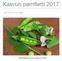 Kasvun pamfletti 2017