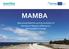 MAMBA. Maximised Mobility and Accessibility of Services in Regions Affected by Demographic Change