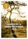2. TALOUSARVION TOTEUTUMINEN 66