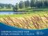 EUROPEAN CHALLENGE TOUR KYTÄJÄ, HYVINKÄÄ 14.-17.8.2014