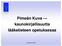 Pimeän Kuva kaunokirjallisuutta lääketieteen opetuksessa. Tampere 9.5.2007