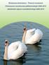 GEMENSAM MORGONDAG - YHDESSÄ HUOMISEEN. Pietarsaaren seutukunnan päihdestrategia 2008-2010 Jakobstads regions rusmedelsstrategi 2008-2010