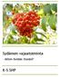 Sydämen vajaatoiminta. - Miten hoidan itseäni? K-S SHP