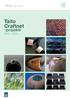 Taito Craftnet. -projekti 2004-2007