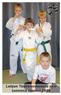 Lohjan Taekwondoseura ry:n toiminta vuonna 2009. Sisällysluettelo