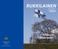 RUKKILAINEN. Yhdessä eteenpäin. Reserviupseerikoulun joukko-osastolehti 1/2012. Reserviupseerikoulu Kadettikoulunkatu 6 PL 54 49401 Hamina