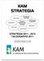 STRATEGIA 2011-2013 TALOUSARVIO