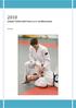 2010 Lohjan Taekwondo Seura ry:n vuosikertomus 12.4.2011