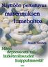 Maarit Nermes NÄYTTÖÖN PERUSTUVAA MASENNUKSEN LUMEHOITOA. Miten depressiosta tuli lääketeollisuuden huippubisnestä?