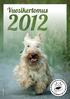 Vuosikertomus 2012. Yhteistyö. Tapahtumat ja lahjoitukset. Vuosi 2012 oli yhdistyksen neljäs toimintavuosi. Yhdistyksen vuosikokous pidettiin