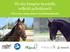Hyvän kimpan taustalla selkeät pelisäännöt -Hevosen omistamisen kehittämishanke-
