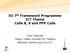 EU 7 th Framework Programme ICT Theme Calls 8, 9 and PPP Calls. Timo Taskinen Tekes / Keski-Suomen ELY-keskus National contact point for ICT