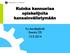 Kuinka kannustaa opiskelijoita kansainvälistymään. Kv-kevätpäivät Sessio D5 13.5.2014