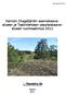LUONNOS. Kemiön Dragsfjärdin asemakaavaalueen. luontoselvitys 2011