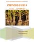 Suomen Lantionpohjan Fysioterapeutit ry:n jäsentiedote PELVICUS 3/2014. 15.9.2014 www.pelvicus.fi. Tiedote: Minna Törnävä. Kuvat: Vuokko Jernfors