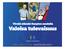 Terve Kuopio - Ikääntyminen alueen mahdollisuutena Rakennemuutos ja ikääntyminen seminaari 23.10.2008. Petri Kervola, ohjelmapäällikkö