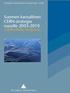 SUOMEN AKATEMIAN JULKAISUJA 13/02. Suomen kansallinen CERN-strategia vuosille 2003-2010 TYÖRYHMÄN EHDOTUS