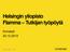 Helsingin yliopisto Flamma Tutkijan työpöytä. Konsepti 20.12.2013