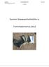 SUOMEN TOIMINTAKERTOMUS Sivu 1 / 8 SAAPPAANHEITTOLIITTO RY 2.3.2013. Suomen Saappaanheittoliitto ry. Toimintakertomus 2012
