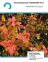 JÄSENTIEDOTE 4/2010. Tässä numerossa: puheenjohtajan palsta vaalikokous STX-vierailu koulutuspäivä Ruissalossa joulukonsertti