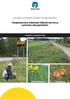 Tienpientareet ja valtateiden liittymät kasvien ja perhosten elinympäristönä Tiehallinnon selvityksiä 9/2004