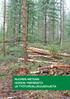 Nuoren metsän hoidon ympäristöja työturvallisuusohjeita