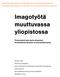 Imagotyötä muuttuvassa yliopistossa
