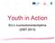 Youth in Action. EU:n nuorisotoimintaohjelma (2007-2013)