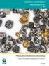 Tutkimusraportti 212 GEOLOGIAN TUTKIMUSKESKUS. Pirkkalan alueen kultaesiintymien malmimineralogia