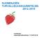 SUONENJOEN TURVALLISUUSSUUNNITELMA 2012 2015