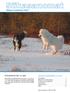 SISÄLLYSLUETTELO 3/2014 PITÄJÄPÄIVÄT 30.6 6.7.2014. Siikajoen kuntatiedote 3/2014. Kuva: Merja Ojanperä