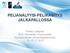 PELIANALYYSI-PELIKÄSITYS JALKAPALLOSSA. Pekka Luhtanen SHA / Eerikkilän Urheiluopisto Kansainvälinen valmentajaseminaari 13.-15.11.