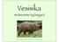 Vesisika. metsiemme työmyyrä. http://www.billybear4kids.com/animal/whose-toes/capybara.jpg