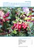 SISÄLLYSLUETTELO 10/2015. Julkinen tiedote. Kuva: Pirkko Kinnunen