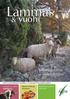 & vuohi. Villantuotanto ja jatkojalostus. Teema: 5/2009. Ketjuinformaatioon helpotusta. Lampaita ja vuohia Namibiassa. Talvisia herkkuja lampaasta