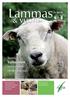 & vuohi. Teema: Valkuainen lampaiden ruokinnassa 1/2010. Raatokeräily maksulliseksi. Suomalainen eläinaines kelpaa - monta uutista viennistä