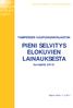 PIENI SELVITYS ELOKUVIEN LAINAUKSESTA