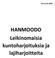 Piia Kurki 2016. HANMOODO Leikinomaisia kuntoharjoituksia ja lajiharjoitteita