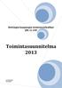 Toimintasuunnitelma 2013