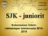 Isännän Ääni- Seuraseminaari. Kokkola 12.2.2016. SJK - juniorit