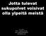 Jotta tulevat sukupolvet voisivat olla ylpeitä meistä. 30.3.2016 Arto O. Salonen, KT, dos. arto.o.salonen@helsinki.fi artosalonen.